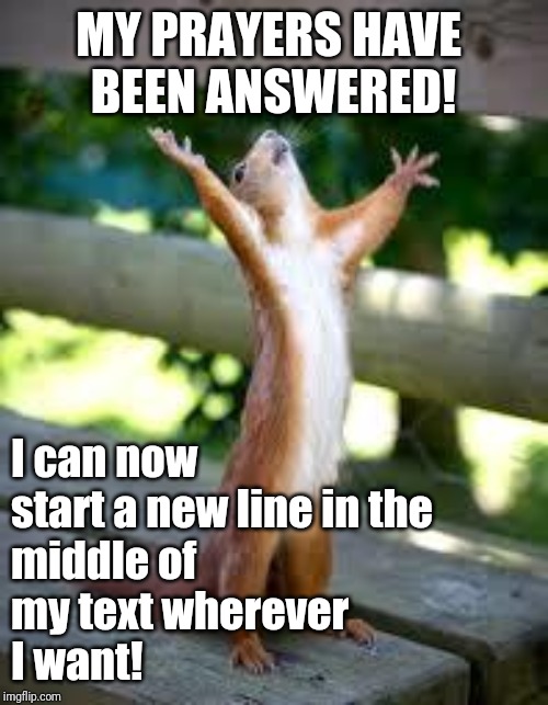 I've always liked imgflip but now my love has doubled! | MY PRAYERS HAVE 
BEEN ANSWERED! I can now
start a new line in the
middle of
my text wherever
I want! | image tagged in praise squirrel,love | made w/ Imgflip meme maker