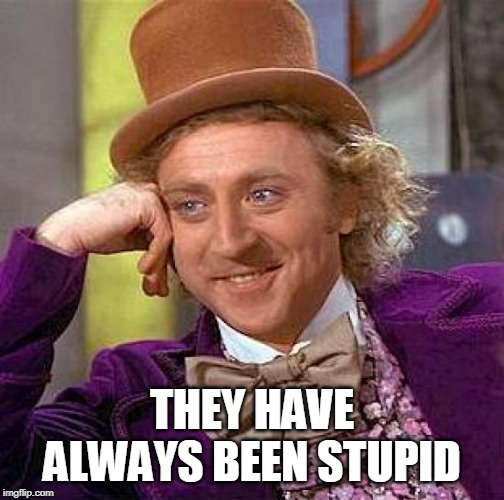 Creepy Condescending Wonka Meme | THEY HAVE ALWAYS BEEN STUPID | image tagged in memes,creepy condescending wonka | made w/ Imgflip meme maker