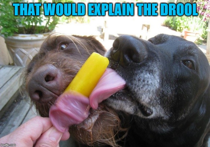 THAT WOULD EXPLAIN THE DROOL | made w/ Imgflip meme maker