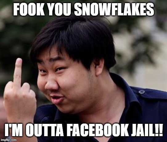 Chinese middle finger | FOOK YOU SNOWFLAKES; I'M OUTTA FACEBOOK JAIL!! | image tagged in chinese middle finger | made w/ Imgflip meme maker