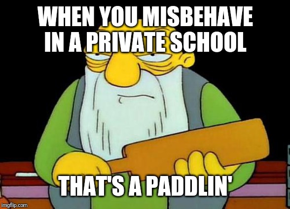 That's a paddlin' Meme | WHEN YOU MISBEHAVE IN A PRIVATE SCHOOL; THAT'S A PADDLIN' | image tagged in memes,that's a paddlin' | made w/ Imgflip meme maker