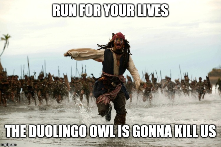 captain jack sparrow running | RUN FOR YOUR LIVES THE DUOLINGO OWL IS GONNA KILL US | image tagged in captain jack sparrow running | made w/ Imgflip meme maker