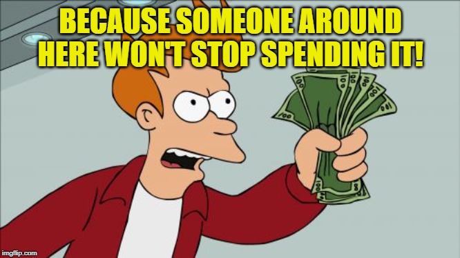 Shut Up And Take My Money Fry Meme | BECAUSE SOMEONE AROUND HERE WON'T STOP SPENDING IT! | image tagged in memes,shut up and take my money fry | made w/ Imgflip meme maker