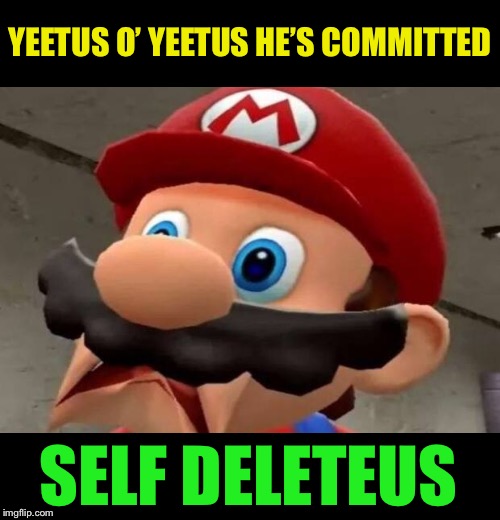 Mario WTF | YEETUS O’ YEETUS HE’S COMMITTED SELF DELETEUS | image tagged in mario wtf | made w/ Imgflip meme maker