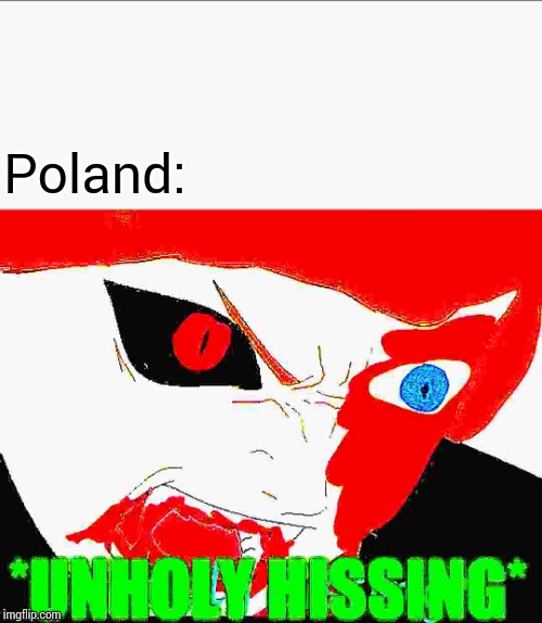 Poland: | image tagged in blaze the blaziken unholy hissing | made w/ Imgflip meme maker