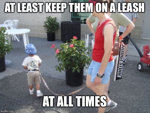 Kid on leash 2 | AT LEAST KEEP THEM ON A LEASH AT ALL TIMES | image tagged in kid on leash 2 | made w/ Imgflip meme maker