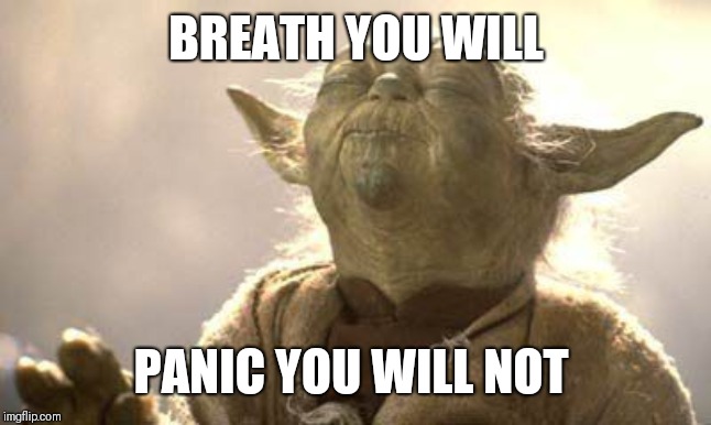 Yoda Meditating | BREATH YOU WILL PANIC YOU WILL NOT | image tagged in yoda meditating | made w/ Imgflip meme maker