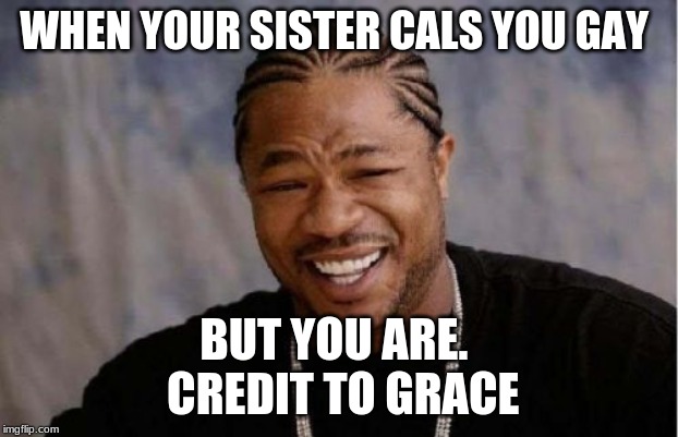 Yo Dawg Heard You | WHEN YOUR SISTER CALS YOU GAY; BUT YOU ARE. 
 CREDIT TO GRACE | image tagged in memes,yo dawg heard you | made w/ Imgflip meme maker