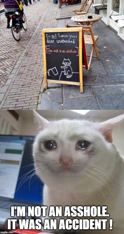 poor puss ! | I'M NOT AN ASSHOLE. IT WAS AN ACCIDENT ! | image tagged in sad cat tears,drink,spilled | made w/ Imgflip meme maker
