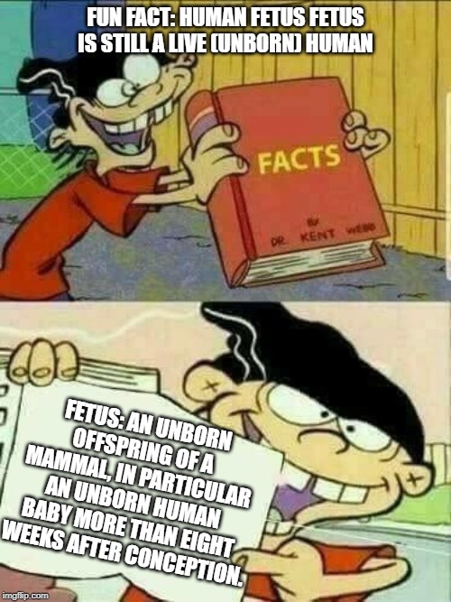 Double d facts book  | FUN FACT: HUMAN FETUS FETUS IS STILL A LIVE (UNBORN) HUMAN FETUS: AN UNBORN OFFSPRING OF A MAMMAL, IN PARTICULAR AN UNBORN HUMAN BABY MORE T | image tagged in double d facts book | made w/ Imgflip meme maker