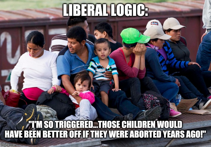 Liberal logic | LIBERAL LOGIC:; "I'M SO TRIGGERED...THOSE CHILDREN WOULD HAVE BEEN BETTER OFF IF THEY WERE ABORTED YEARS AGO!" | image tagged in illegal immigration,immigration,abortion,liberal logic,politics | made w/ Imgflip meme maker