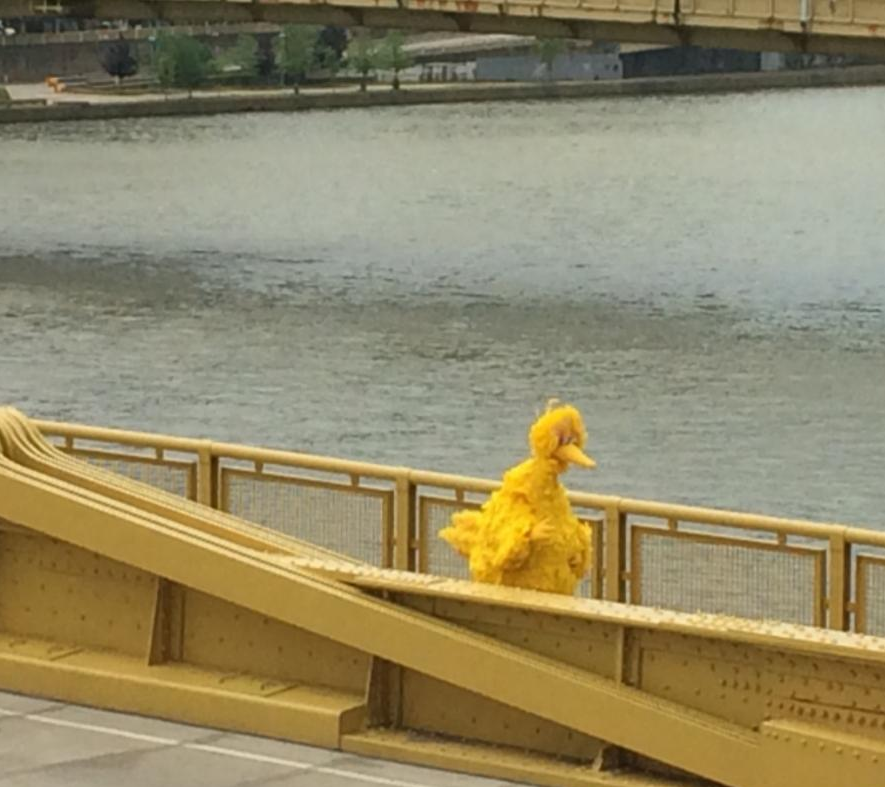 Sad Big Bird Blank Meme Template