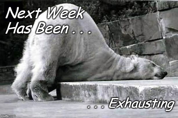 tired polar bear | Next Week
Has Been . . . . . . Exhausting | image tagged in tired polar bear | made w/ Imgflip meme maker