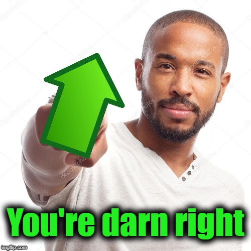 upvote | You're darn right | image tagged in upvote | made w/ Imgflip meme maker