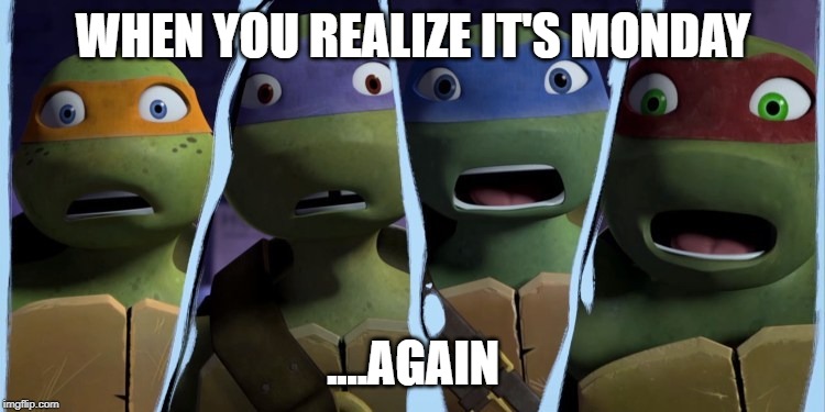 WHEN YOU REALIZE IT'S MONDAY; ....AGAIN | image tagged in teenage mutant ninja turtles | made w/ Imgflip meme maker