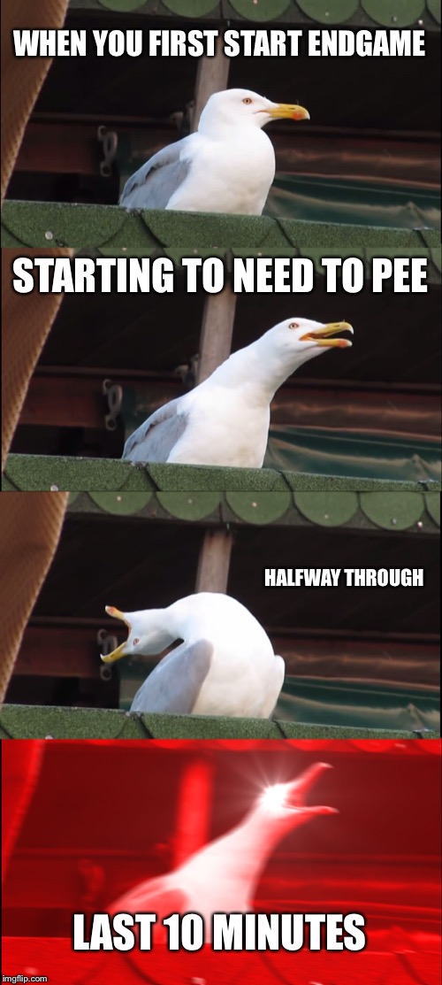 Inhaling Seagull Meme | WHEN YOU FIRST START ENDGAME; STARTING TO NEED TO PEE; HALFWAY THROUGH; LAST 10 MINUTES | image tagged in memes,inhaling seagull | made w/ Imgflip meme maker