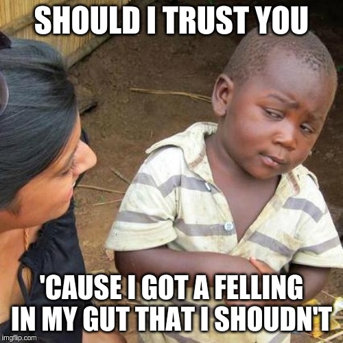 Third World Skeptical Kid | SHOULD I TRUST YOU; 'CAUSE I GOT A FELLING IN MY GUT THAT I SHOUDN'T | image tagged in memes,third world skeptical kid | made w/ Imgflip meme maker