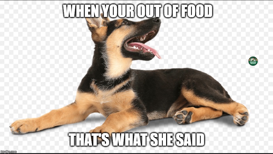 WHEN YOUR OUT OF FOOD; THAT'S WHAT SHE SAID | made w/ Imgflip meme maker