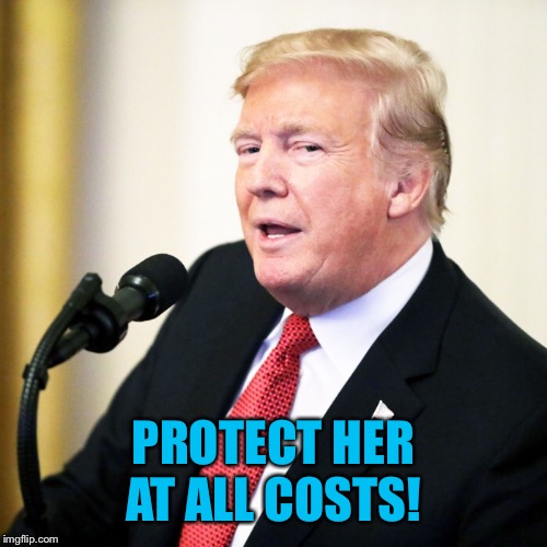 PROTECT HER AT ALL COSTS! | made w/ Imgflip meme maker