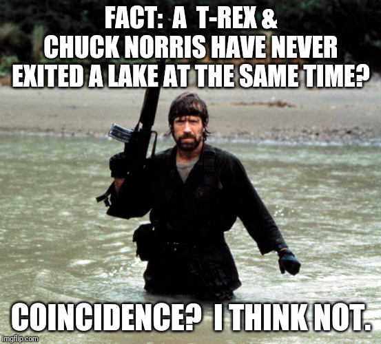 Chuck Norris Rises | FACT:  A  T-REX & CHUCK NORRIS HAVE NEVER EXITED A LAKE AT THE SAME TIME? COINCIDENCE?  I THINK NOT. | image tagged in chuck norris rises | made w/ Imgflip meme maker