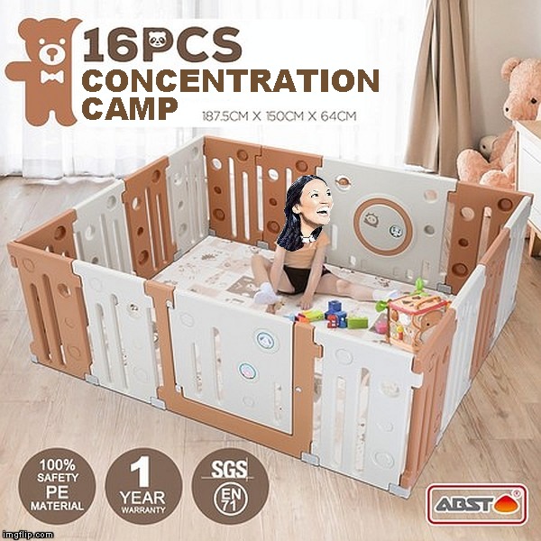 100% Safety | CONCENTRATION; CAMP | image tagged in memes,aoc,playpen,concentration camp | made w/ Imgflip meme maker