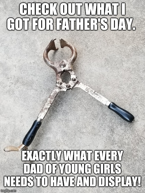 Safe dating castration tool.... | CHECK OUT WHAT I GOT FOR FATHER'S DAY. EXACTLY WHAT EVERY DAD OF YOUNG GIRLS NEEDS TO HAVE AND DISPLAY! | image tagged in castration,tools,memes,original meme,original,so true memes | made w/ Imgflip meme maker