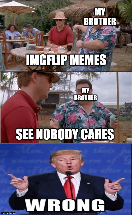 See Nobody Cares Meme | MY BROTHER; IMGFLIP MEMES; MY BROTHER; SEE NOBODY CARES | image tagged in memes,see nobody cares | made w/ Imgflip meme maker