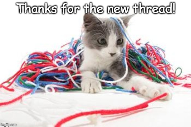 Thanks for the new thread! | image tagged in cat thread | made w/ Imgflip meme maker