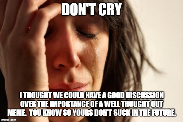 First World Problems Meme | DON'T CRY I THOUGHT WE COULD HAVE A GOOD DISCUSSION OVER THE IMPORTANCE OF A WELL THOUGHT OUT MEME.  YOU KNOW SO YOURS DON'T SUCK IN THE FUT | image tagged in memes,first world problems | made w/ Imgflip meme maker