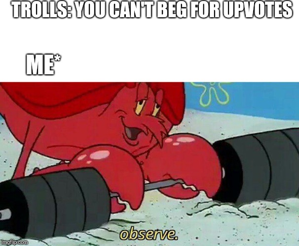 Observe | TROLLS: YOU CAN'T BEG FOR UPVOTES; ME* | image tagged in observe | made w/ Imgflip meme maker