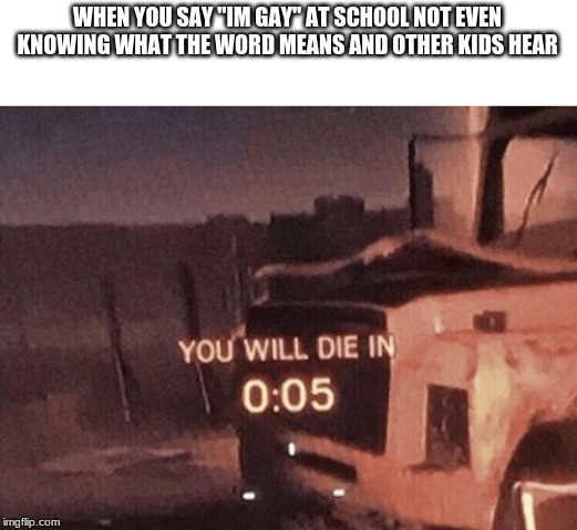 you will die in 5 seconds | WHEN YOU SAY "IM GAY" AT SCHOOL NOT EVEN KNOWING WHAT THE WORD MEANS AND OTHER KIDS HEAR | image tagged in you will die in 5 seconds | made w/ Imgflip meme maker