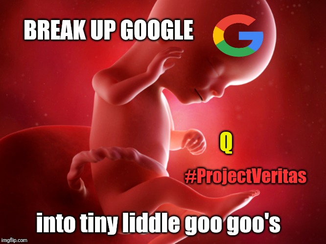 Planned Republichood | BREAK UP GOOGLE; Q; #ProjectVeritas; into tiny liddle goo goo's | image tagged in break up google,one does not simply,make america great again,qanon,the great awakening,donald trump approves | made w/ Imgflip meme maker