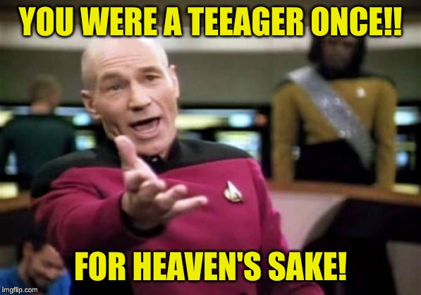 Picard Wtf Meme | YOU WERE A TEEAGER ONCE!! FOR HEAVEN'S SAKE! | image tagged in memes,picard wtf | made w/ Imgflip meme maker