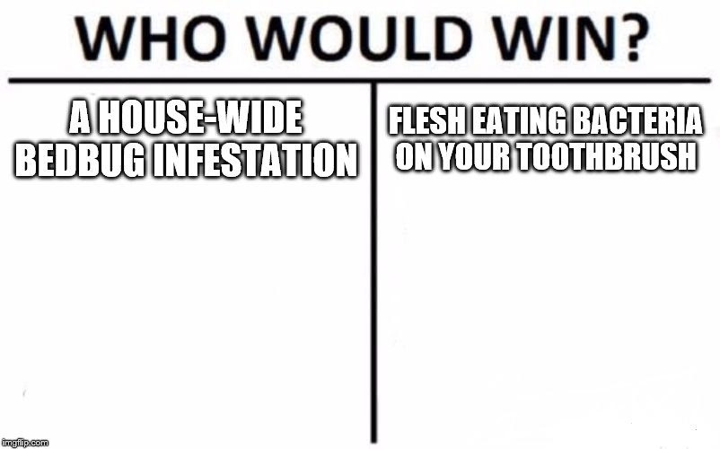 Who Would Win? Meme | A HOUSE-WIDE BEDBUG INFESTATION; FLESH EATING BACTERIA ON YOUR TOOTHBRUSH | image tagged in memes,who would win | made w/ Imgflip meme maker