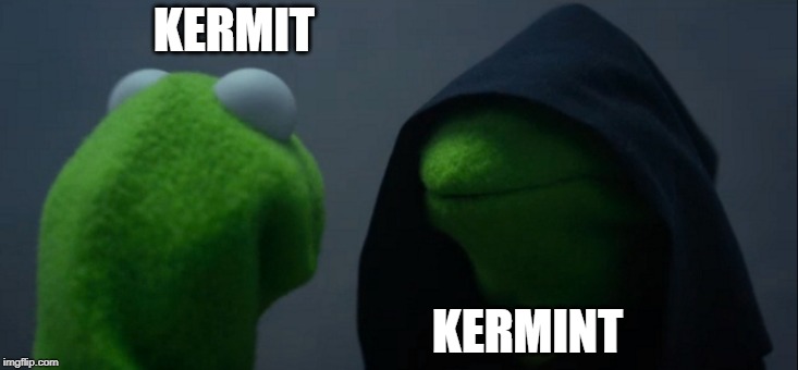 Evil Kermit Meme | KERMIT KERMINT | image tagged in memes,evil kermit | made w/ Imgflip meme maker