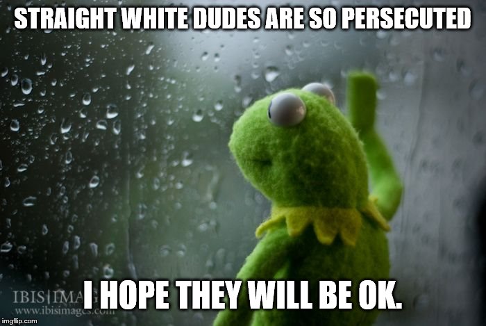 kermit window | STRAIGHT WHITE DUDES ARE SO PERSECUTED I HOPE THEY WILL BE OK. | image tagged in kermit window | made w/ Imgflip meme maker