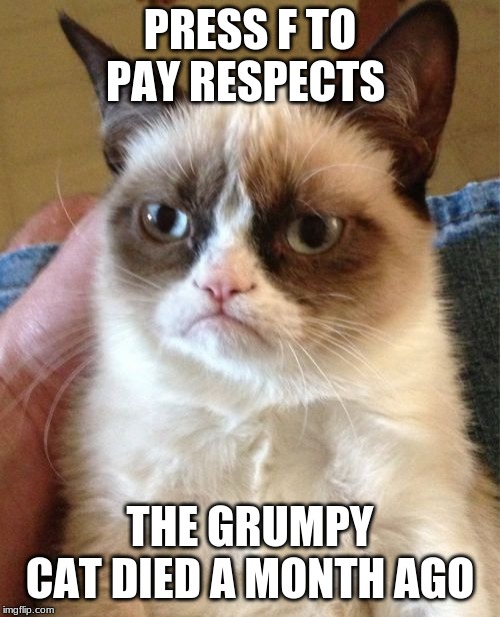 Grumpy Cat | PRESS F TO PAY RESPECTS; THE GRUMPY CAT DIED A MONTH AGO | image tagged in memes,grumpy cat,rip,press f to pay respects | made w/ Imgflip meme maker