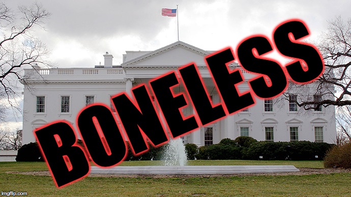 Boneless. | BONELESS | image tagged in white house,memes,boneless | made w/ Imgflip meme maker