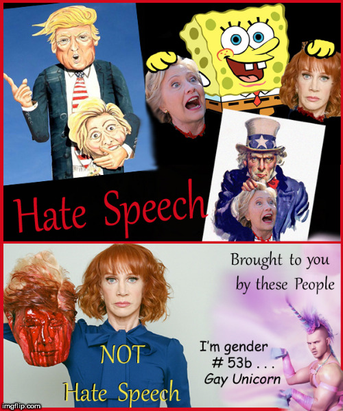 Hate Speech ....like Homophobia....a made up word | image tagged in hate speech,censorship,kathy griffin tolerance,hillary clinton,politics lol,donald trump approves | made w/ Imgflip meme maker