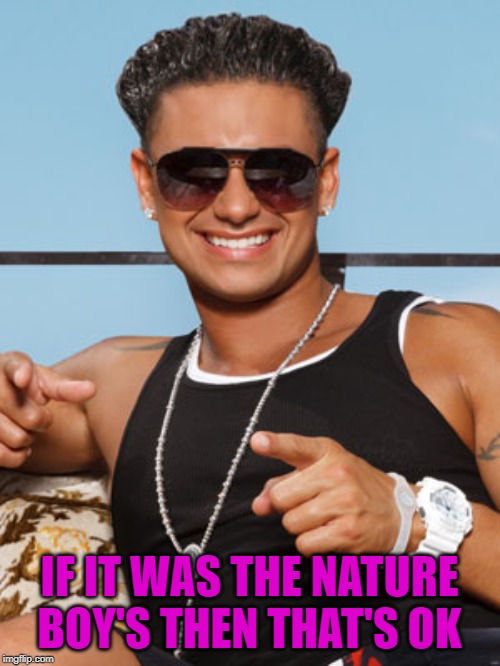 IF IT WAS THE NATURE BOY'S THEN THAT'S OK | made w/ Imgflip meme maker