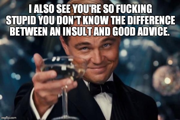 Leonardo Dicaprio Cheers Meme | I ALSO SEE YOU'RE SO F**KING STUPID YOU DON'T KNOW THE DIFFERENCE BETWEEN AN INSULT AND GOOD ADVICE. | image tagged in memes,leonardo dicaprio cheers | made w/ Imgflip meme maker