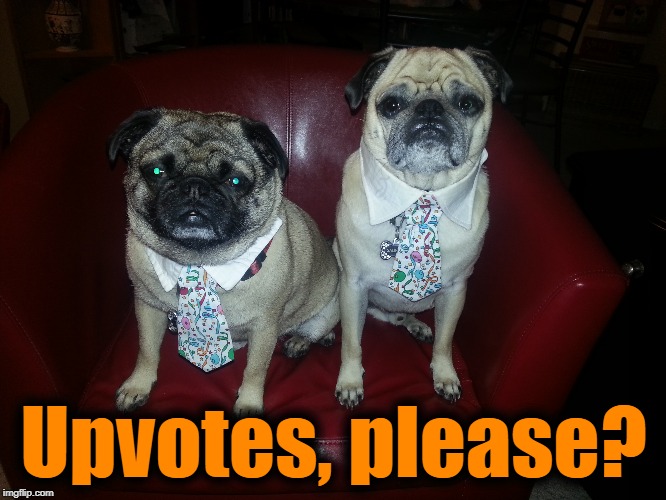 Upvotes, please? | made w/ Imgflip meme maker