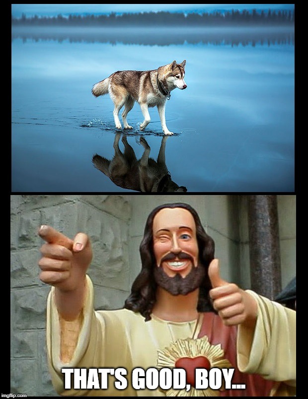 Jesus' husky dog... | THAT'S GOOD, BOY... | image tagged in husky,jesus,water,walking,miracle | made w/ Imgflip meme maker