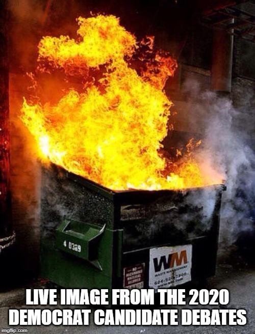 That's What it is all right... | LIVE IMAGE FROM THE 2020 DEMOCRAT CANDIDATE DEBATES | image tagged in dumpster fire | made w/ Imgflip meme maker