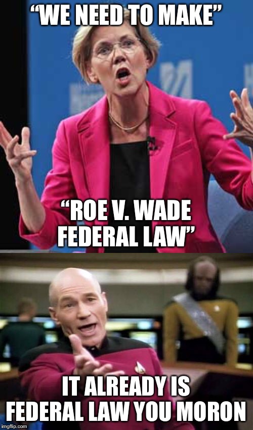 Brilliant Quote from Tonight’s Debate | “WE NEED TO MAKE”; “ROE V. WADE FEDERAL LAW”; IT ALREADY IS FEDERAL LAW YOU MORON | image tagged in memes,picard wtf,elizabeth warren | made w/ Imgflip meme maker