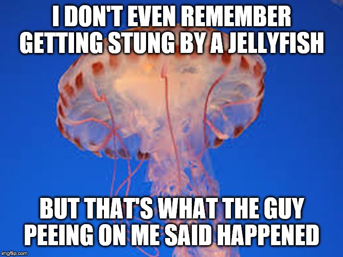 jellyfish | I DON'T EVEN REMEMBER GETTING STUNG BY A JELLYFISH; BUT THAT'S WHAT THE GUY PEEING ON ME SAID HAPPENED | image tagged in jellyfish | made w/ Imgflip meme maker