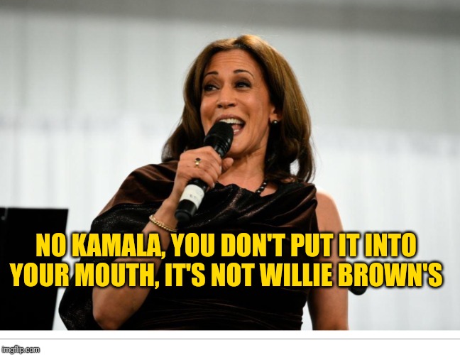 Kamala Harris | NO KAMALA, YOU DON'T PUT IT INTO YOUR MOUTH, IT'S NOT WILLIE BROWN'S | image tagged in kamala harris | made w/ Imgflip meme maker
