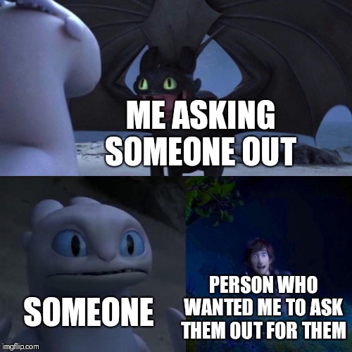 night fury | ME ASKING SOMEONE OUT; SOMEONE; PERSON WHO WANTED ME TO ASK THEM OUT FOR THEM | image tagged in night fury | made w/ Imgflip meme maker