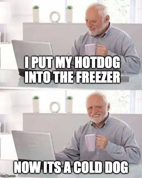 Hide the Pain Harold Meme | I PUT MY HOTDOG INTO THE FREEZER; NOW ITS A COLD DOG | image tagged in memes,hide the pain harold | made w/ Imgflip meme maker