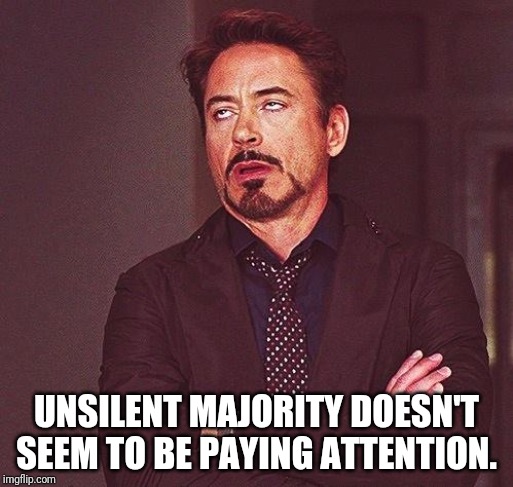 Robert Downey Jr Annoyed | UNSILENT MAJORITY DOESN'T SEEM TO BE PAYING ATTENTION. | image tagged in robert downey jr annoyed | made w/ Imgflip meme maker
